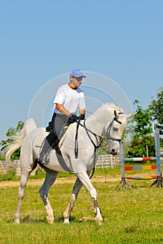 Rider on white arabian horse