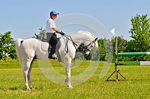 Rider on white arabian horse