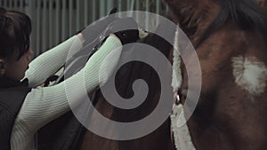 A rider woman harnesses her horse