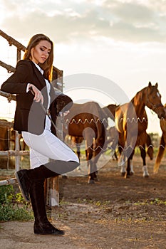 Rider woman with whip at the sunset