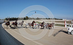 Horse harness race starting wide