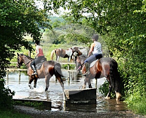 Riders Crossing a River