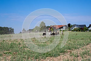 Riders gallop with horses across the dry harvested field in autumn
