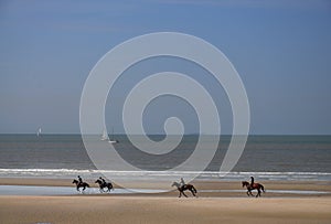 The riders galloping along the beach