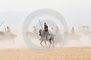 Riders in the spanish country, Segovia