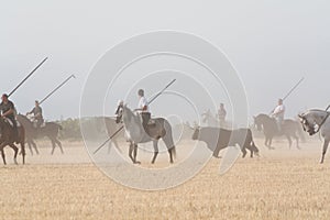 Riders in the spanish country, Segovia
