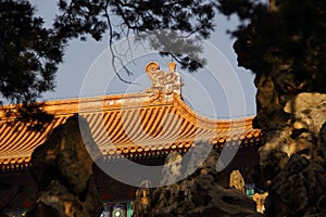 Ridge of Chinese palace