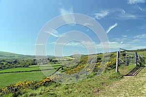Ridge footpath above Corfe Castle