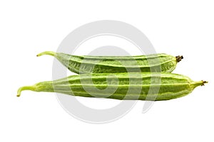 Ridge gourd