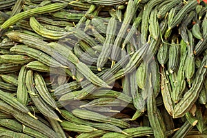 Ridge Gourd vegetables up for sale in produce market in Bengaluru, India