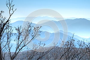 Ridge lines, Odaesan National Park