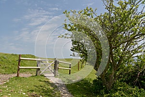 Ridge path above Corfe Castle