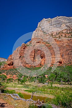 Ridge walk in beautiful scenery in Zion National Park along the Angel`s Landing trail, Hiking in Zion Canyon, Utah