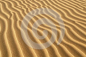 Ridges of sand formed in sand dune photo