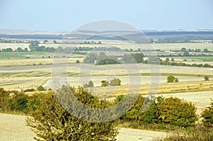 The Ridgeway from Charlbury Hill photo