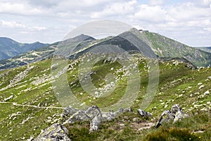 Hřebenovka z Chopku na Ďumbier, Nízké Tatry, Nízké Nízké Tatry, národní park
