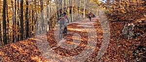 Riding bicycle through country roads in autumn