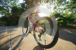 Riding bike on forest trail