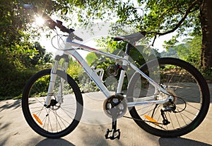 Riding bike on forest trail