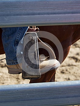 Riding boot and Stirrup