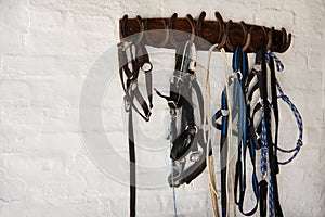 Riding bridle, tack and horseshoe in wall leather, rope and metal or steel on farm. Countryside, equestrian and wooden