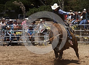 Riding The Bull