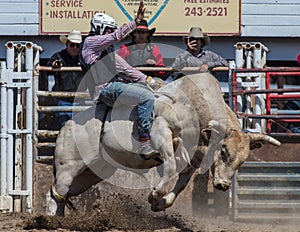 Riding the Bull