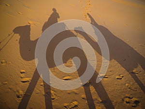 Riding camels in the Sahara desert, with shadows