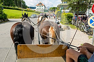 Riding a carriage pulled by a pair of horses.