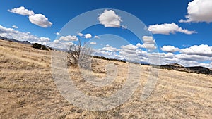 Riding desert grass arid landscape 4K POV