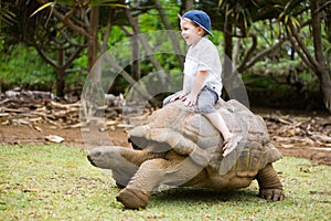 Riding Giant Turtle