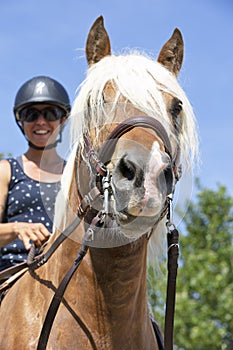 Riding girl and horse