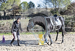 Riding girl and horse