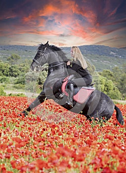 Riding girl and horse