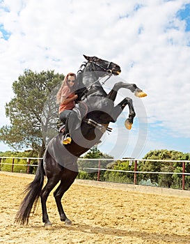 Riding girl and stallion