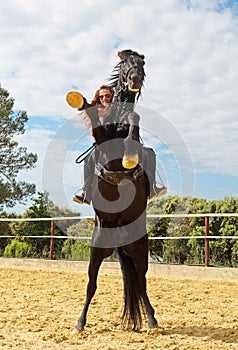 Riding girl and stallion