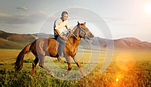 Riding Horse Equestrian Field Nature Mountain Concept