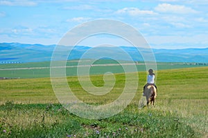 Riding horse in grassland