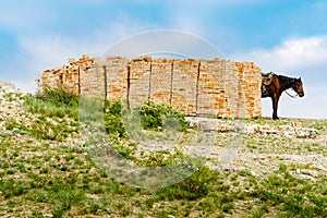 Riding horse near the piles of bricks