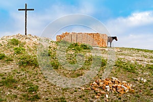 Riding horse near the piles of bricks