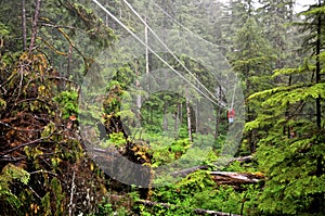 Riding the Ketchikan Zipline