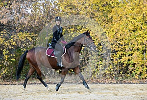 Riding lessons in the park in autumn