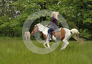 Riding on the meadow