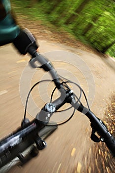 Riding mountain bike in forest