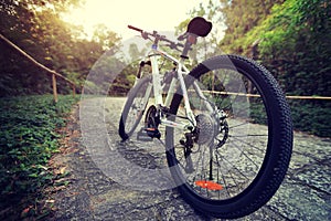 Riding mountain bike on forest trail