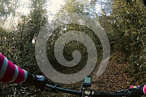 Riding a mountain bike handle bar point of view while chasing other riders on narrow single track in the middle of a green forest