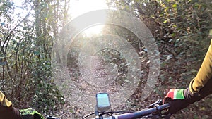 Riding a mountain bike through narrow singletrack trails fom a handlebar point of view