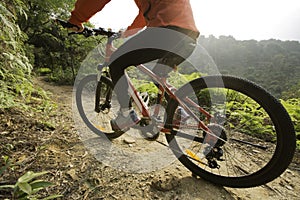 Riding mountain bike at sunrise forest trail