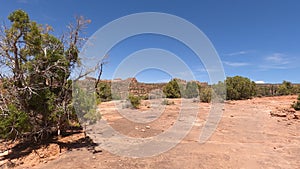 Riding off road desert forest trail rocky ledge pov 4K