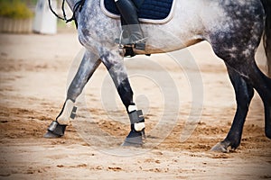 Riding a rider on a gray horse, which goes through the sandy arena